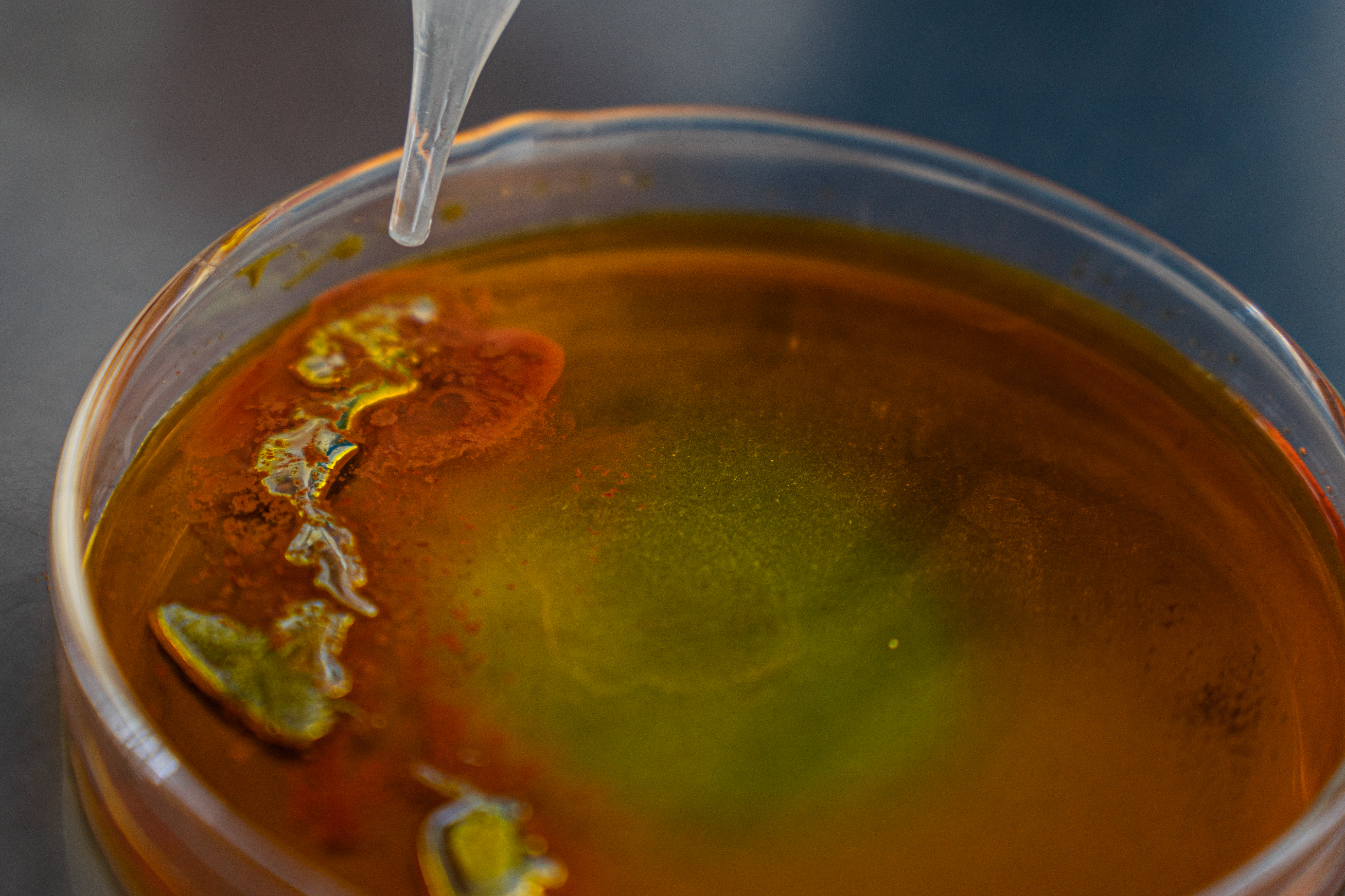 Trabajo con microscopio