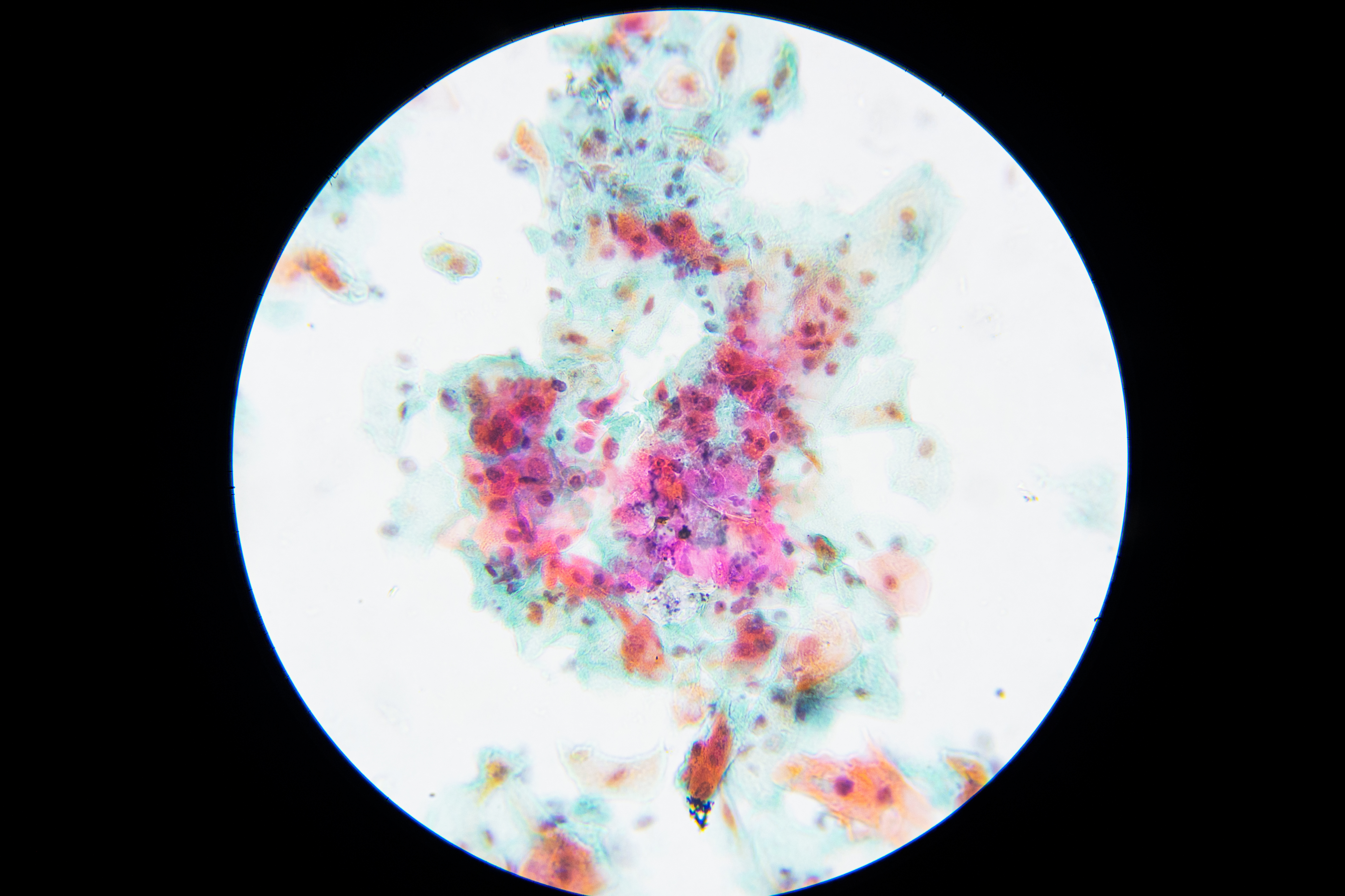Trabajo con microscopio