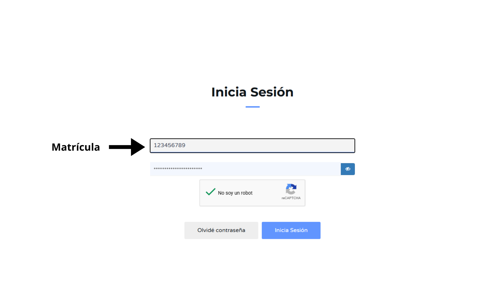 Inicio de sesión y registro en SiPAGO